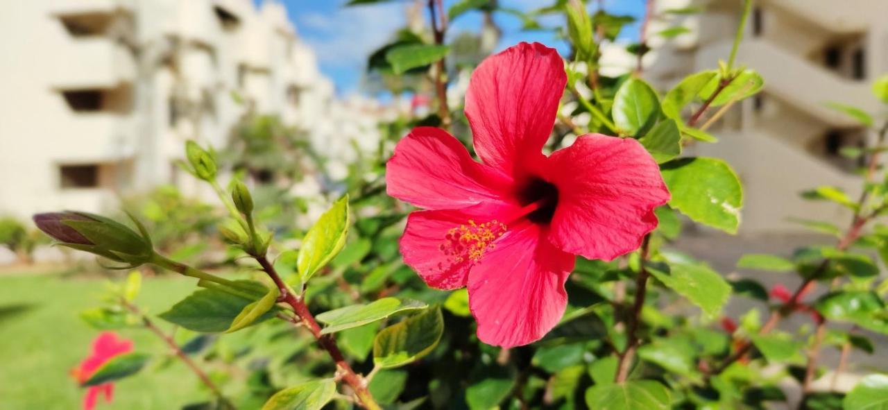 Apartamento La Felicidad II By Denia Costa ภายนอก รูปภาพ