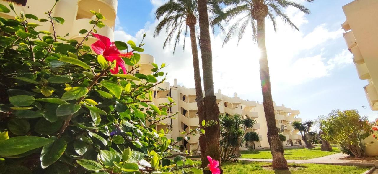 Apartamento La Felicidad II By Denia Costa ภายนอก รูปภาพ